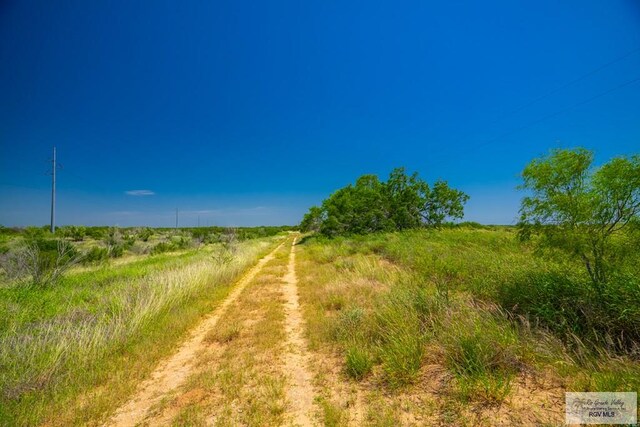 0 Lazy Palm Dr, Linn, TX 78541 - photo 9