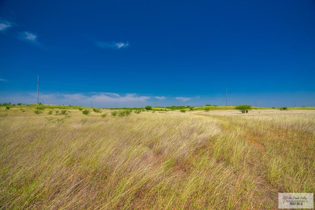 0 Lazy Palm Dr, Linn, TX 78541 - photo 8