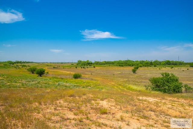 0 Lazy Palm Dr, Linn, TX 78541 - photo 28