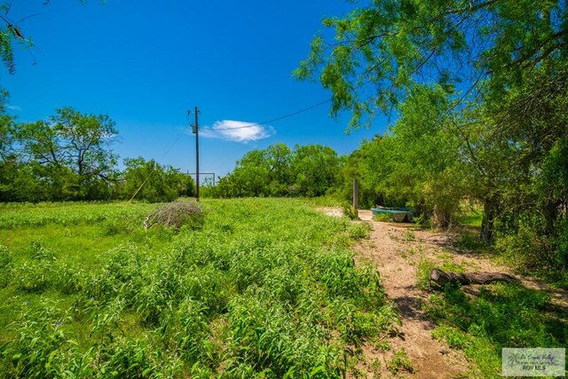 0 Lazy Palm Dr, Linn, TX 78541 - photo 13
