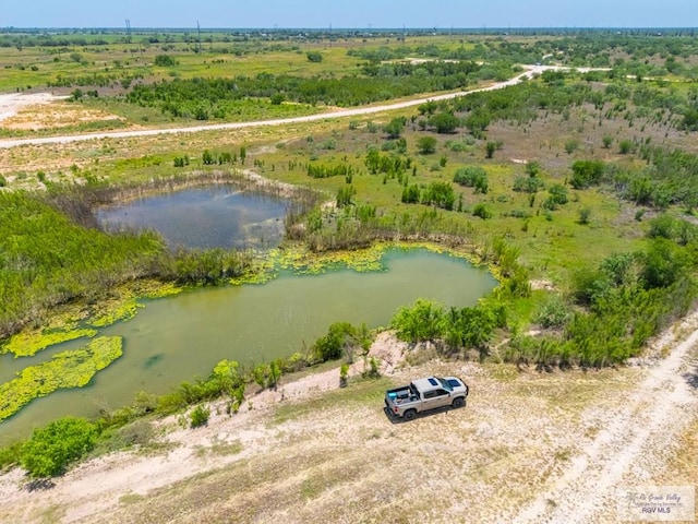 0 Lazy Palm Dr, Linn, TX 78541 - photo 22