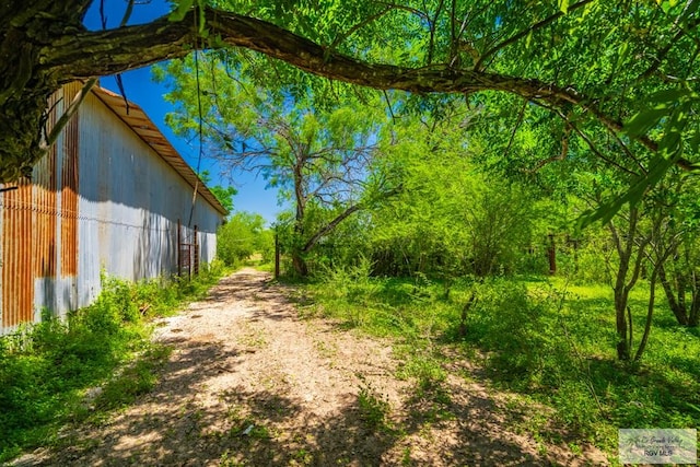 0 Lazy Palm Dr, Linn, TX 78541 - photo 14