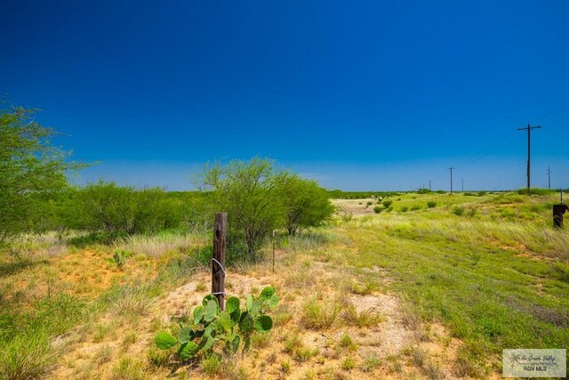 0 Lazy Palm Dr, Linn, TX 78541 - photo 7