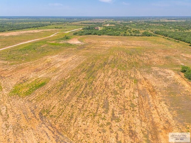 0 Lazy Palm Dr, Linn, TX 78541 - photo 18