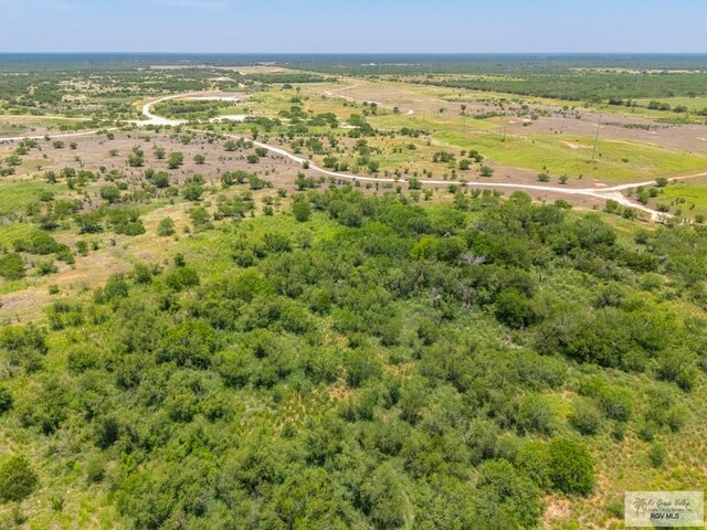 0 Lazy Palm Dr, Linn, TX 78541 - photo 26