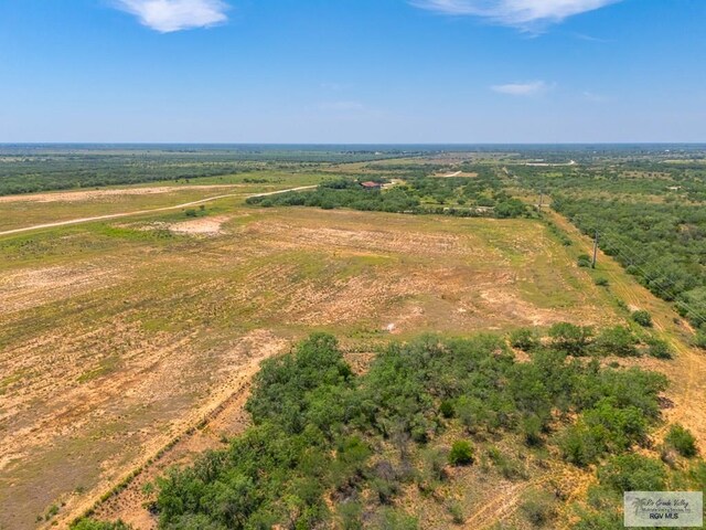 0 Lazy Palm Dr, Linn, TX 78541 - photo 2