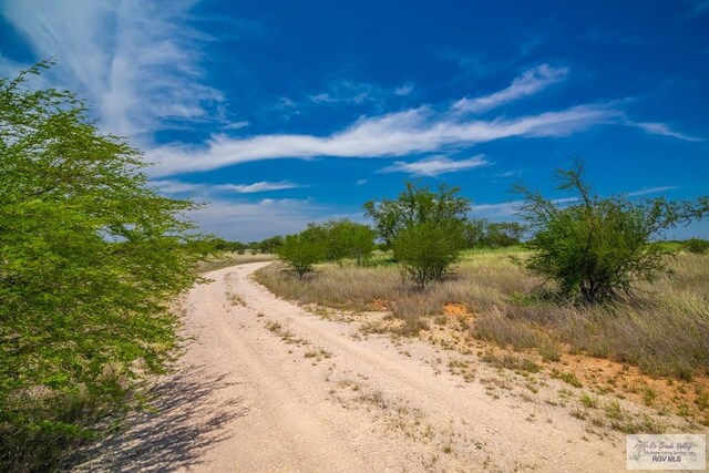 0 Lazy Palm Dr, Linn, TX 78541 - photo 29