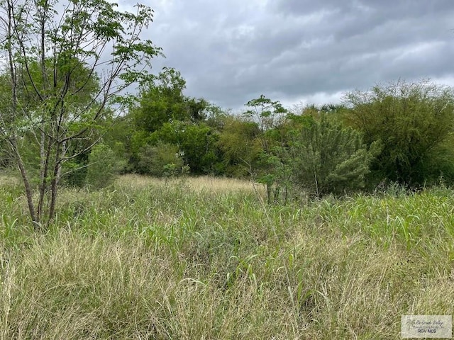 Listing photo 3 for 24.659ACS US Highway 281, Brownsville TX 78520