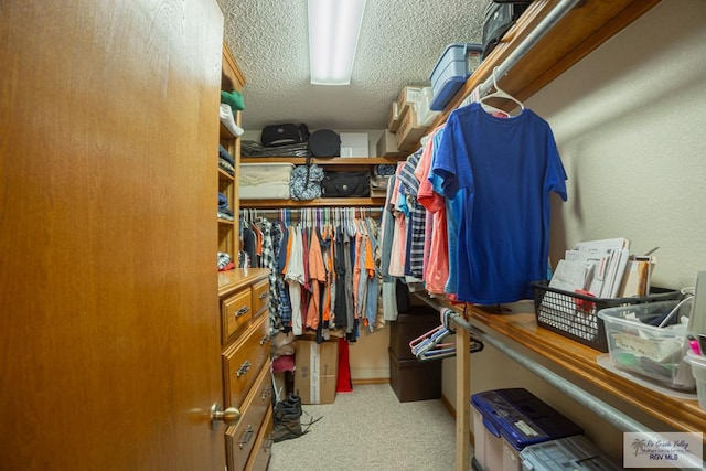 walk in closet with light carpet