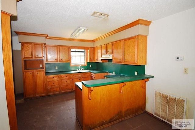 195 W 3rd St, Sebastian, TX 78594 - kitchen with under cabinet range hood, a peninsula, brown cabinets, a textured ceiling, and ornamental molding
