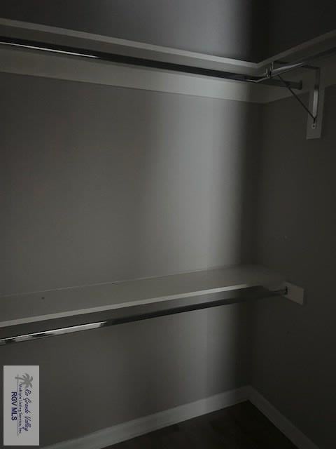 9206 Empress Ln, Harlingen, TX 78552 - view of spacious closet