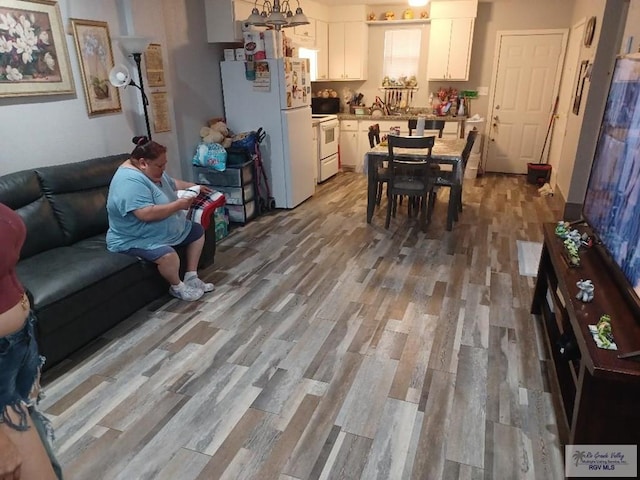 living room featuring light hardwood / wood-style flooring