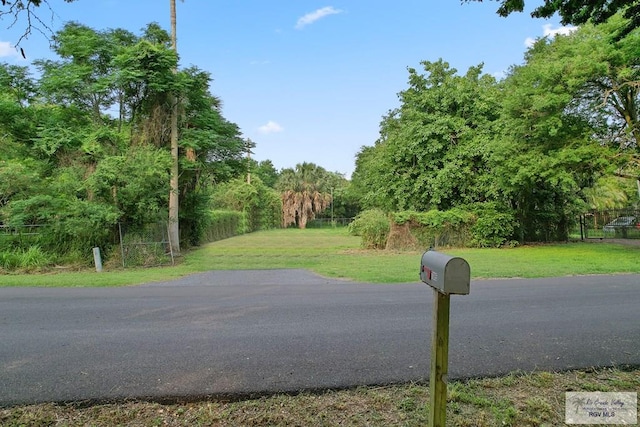 7085 W Lakeside Blvd, Olmito, TX 78575 - photo 4