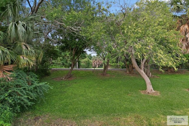 7085 W Lakeside Blvd, Olmito, TX 78575 - photo 8