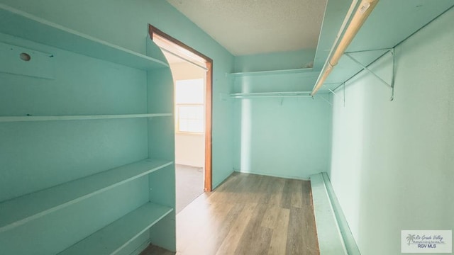 walk in closet with wood-type flooring