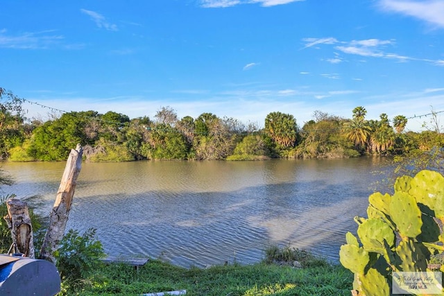 property view of water