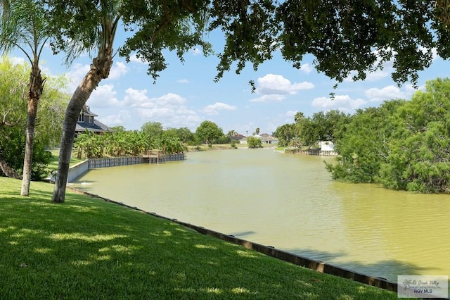 3406 Spyglass Hill Dr, Harlingen, TX 78550 - water view
