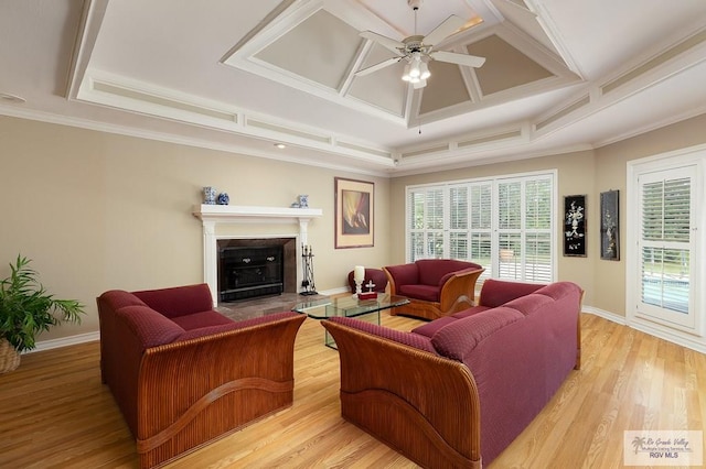 3406 Spyglass Hill Dr, Harlingen, TX 78550 - living room with a ceiling fan, coffered ceiling, light wood-type flooring, a fireplace, and baseboards