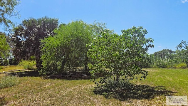 1271 N Illinois, Brownsville, TX 78521 - photo 2