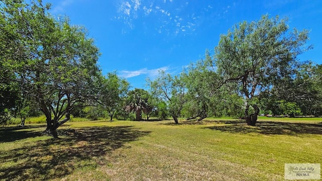 1271 N Illinois, Brownsville, TX 78521 - photo 5