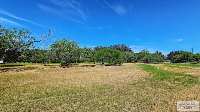 1271 N Illinois, Brownsville, TX 78521 - photo 6