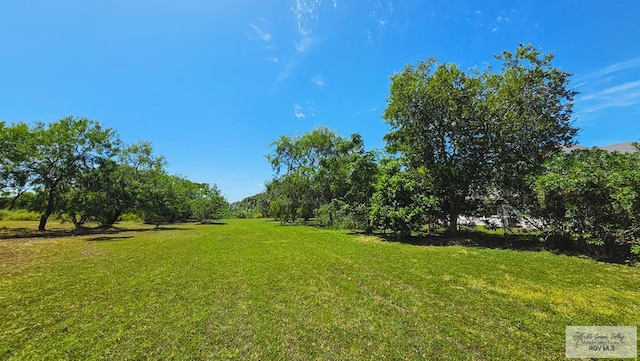 1271 N Illinois, Brownsville, TX 78521 - photo 10