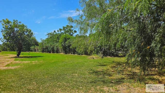 1271 N Illinois, Brownsville, TX 78521 - photo 8