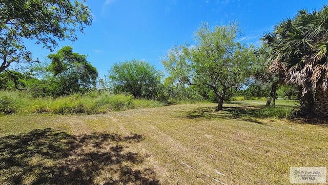 1271 N Illinois, Brownsville, TX 78521 - photo 4