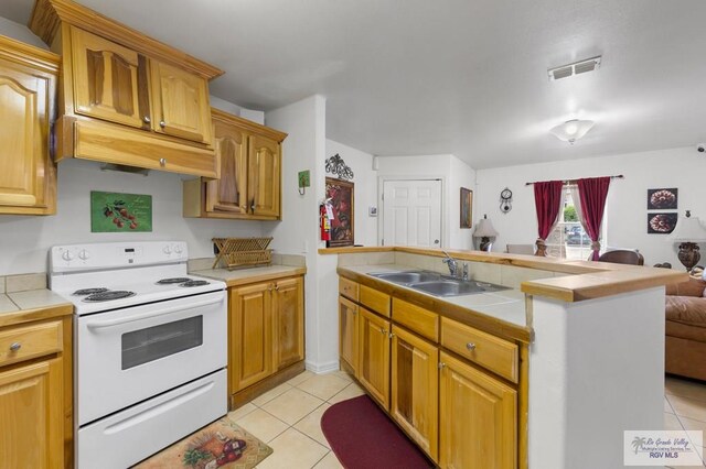 1000 E Stenger St, San Benito, TX 78586 - photo 14