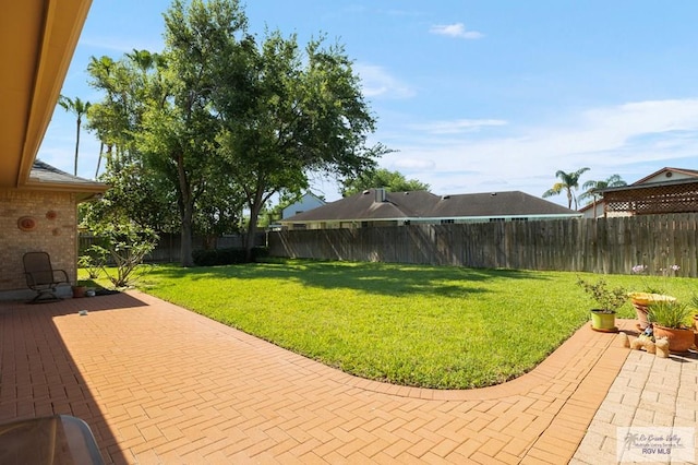 view of yard featuring a patio area and a fenced backyard