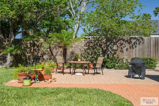 view of patio / terrace with a fenced backyard and area for grilling