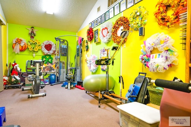 exercise room with a textured ceiling, carpet floors, and vaulted ceiling