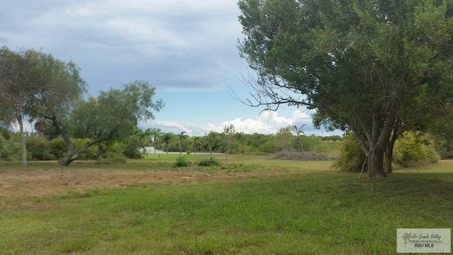 view of landscape