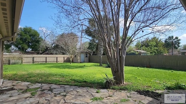 view of yard featuring a shed and a patio area