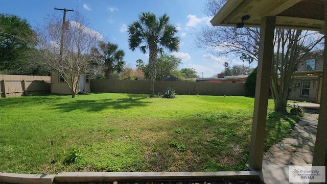 view of yard featuring a shed