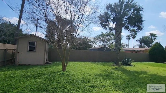 view of yard featuring a storage shed