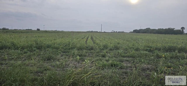 0 High Canal Rd, Santa Rosa, TX 78593 - photo 3