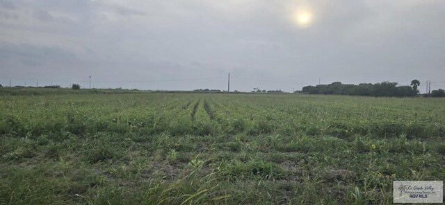 0 High Canal Rd, Santa Rosa, TX 78593 - photo 4
