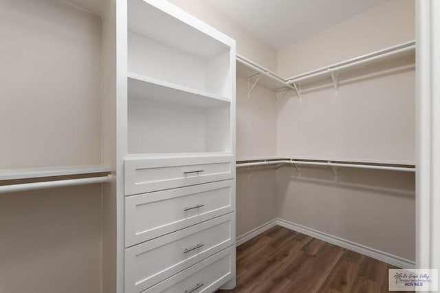 walk in closet with dark hardwood / wood-style flooring