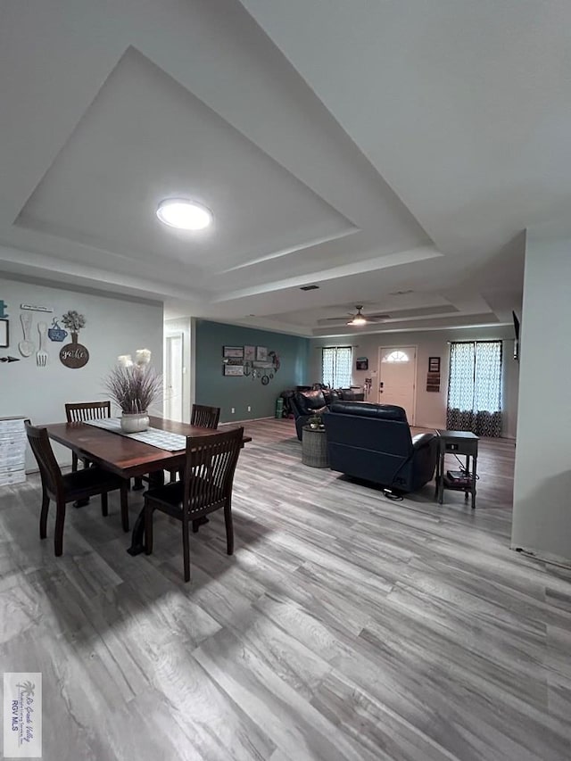 dining area with wood-type flooring, a wealth of natural light, and a tray ceiling