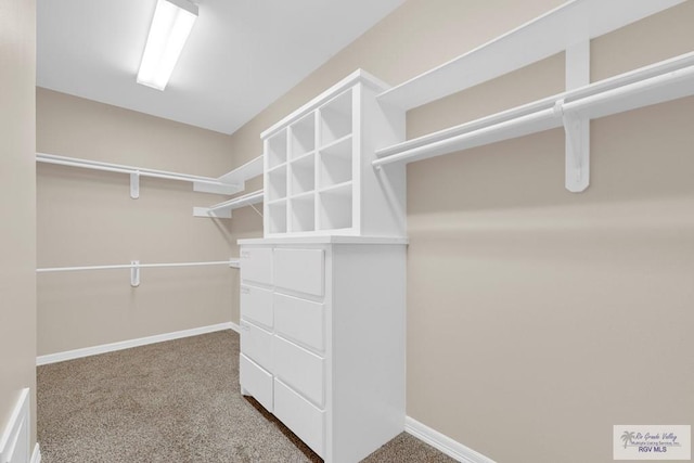 spacious closet with carpet