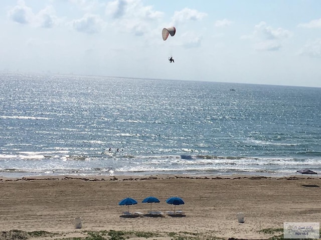 water view featuring a beach view