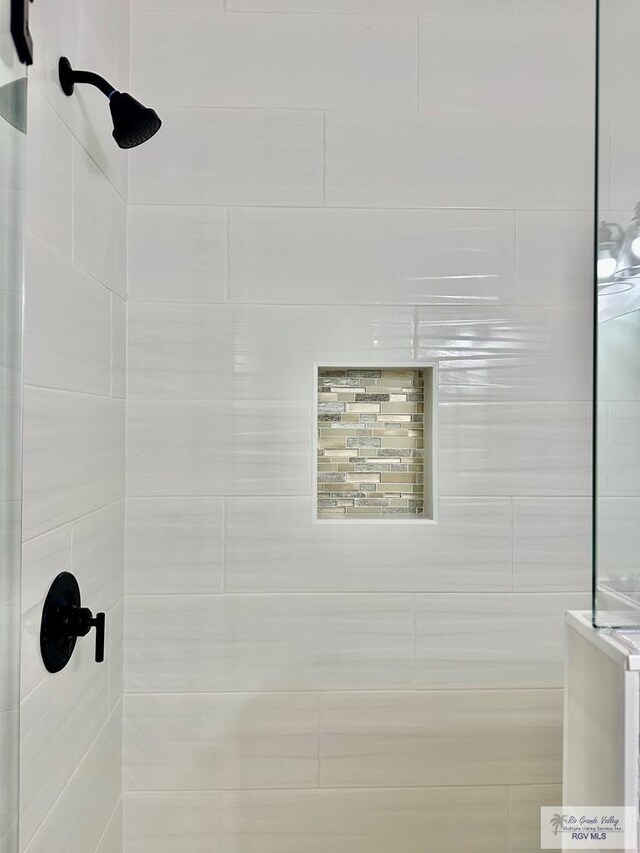 1521 Stirrup Cir, San Benito, TX 78586 - bathroom view of a tile shower