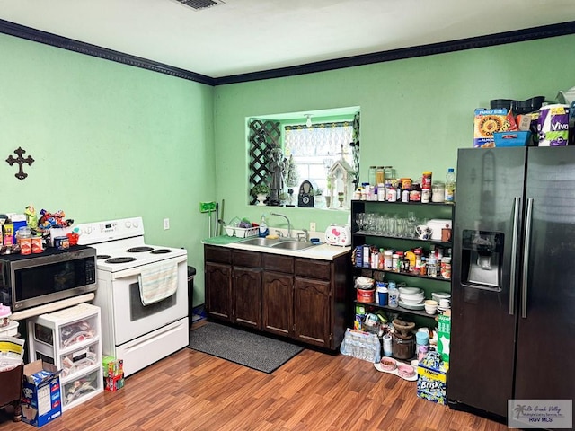 kitchen featuring light wood-type flooring, dark brown cabinets, stainless steel appliances, crown molding, and sink