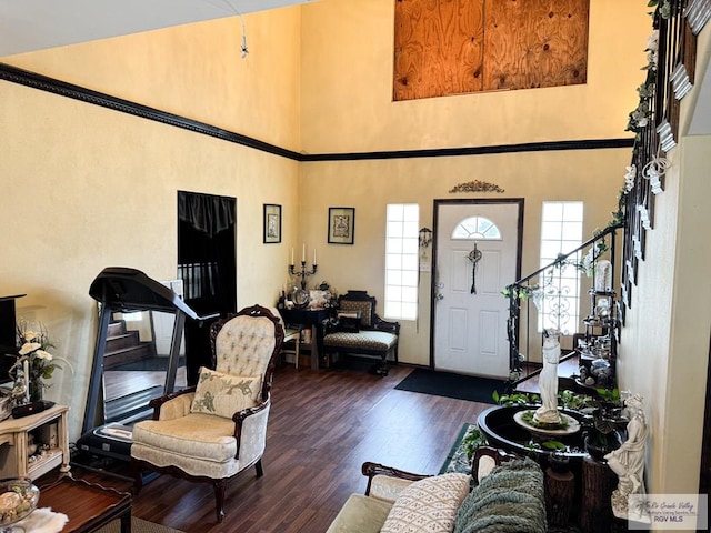 entrance foyer featuring dark wood-type flooring and a high ceiling