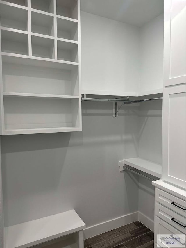 3518 Treasure Hills Blvd, Harlingen, TX 78550 - spacious closet with dark wood finished floors