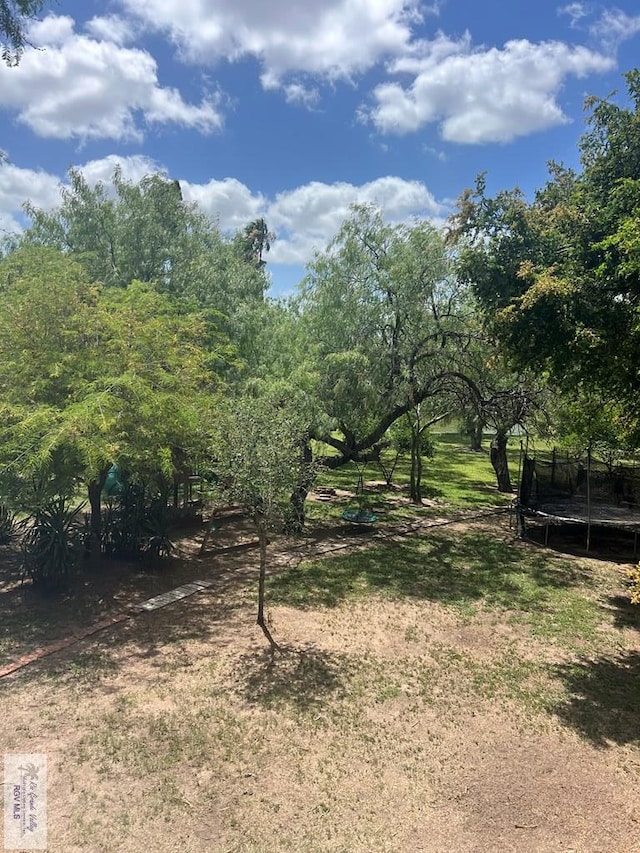 306 Lindale Dr, Brownsville, TX 78521 - photo 22