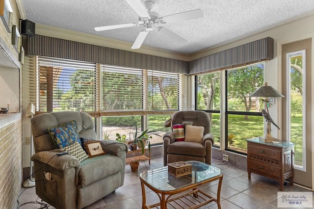 102 Resaca Dr, Los Fresnos, TX 78566 - photo 20