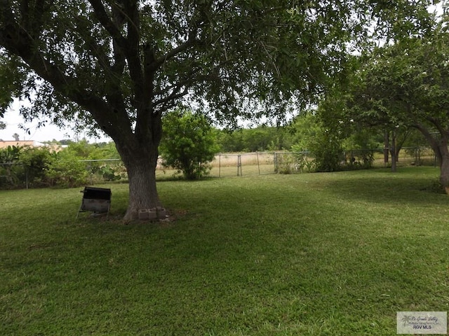 55 Carlton Dr, Brownsville, TX 78521 - view of yard
