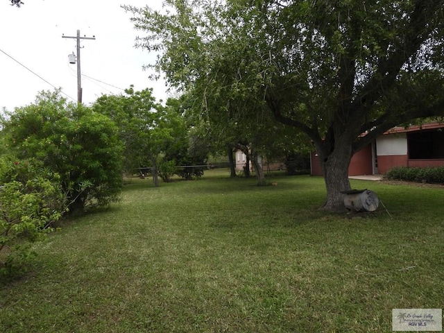 55 Carlton Dr, Brownsville, TX 78521 - view of green lawn